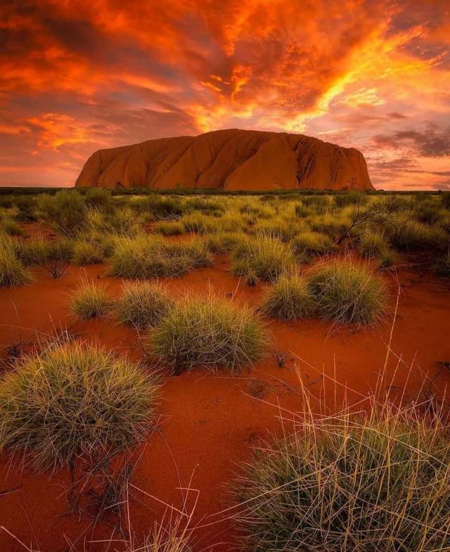 乌鲁鲁-卡塔丘塔丨站在世界中心呼唤爱