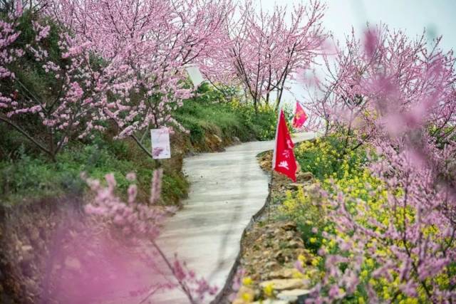 花瓣飞舞间,一位位古装女子眼前走过,恍若仙境.