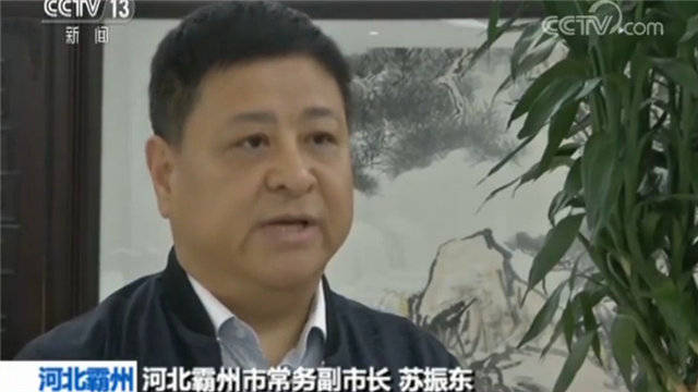 河北霸州市常务副市长苏振东