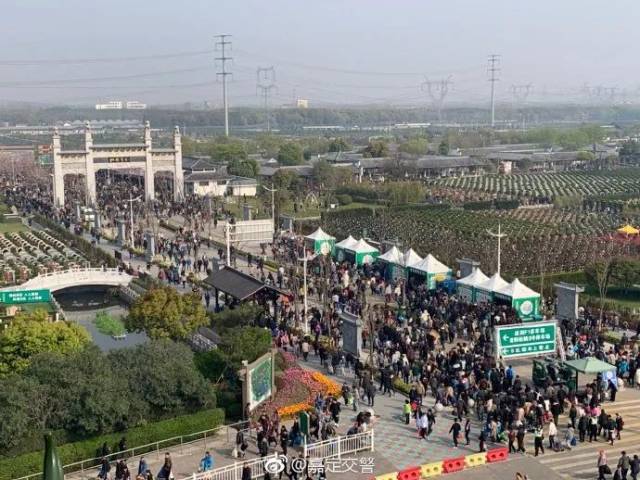 松鹤墓园内场及1,2号停车场持续饱和,由于祭扫车辆较多,宝安公路(胜辛