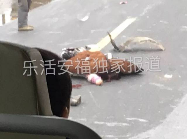 安福县发生车祸,一人倒在血泊中不幸.