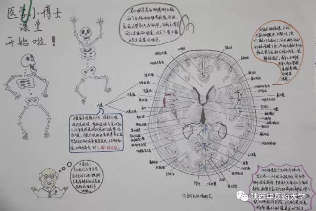 技术学院《绿色通道—米茹 医学技术学院《经室间孔的横断层》