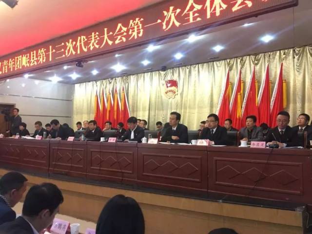 岷县县委书记郭世杰出席会议并讲话,岷县四大班子有关领导出席开幕式