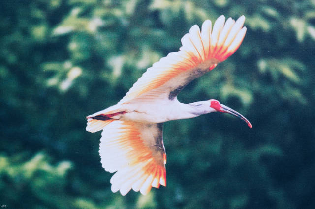 ڵ侺ϵİǽ,סɾ㾰