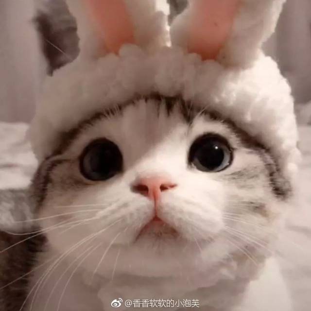 (期待的眼神) 平台声明