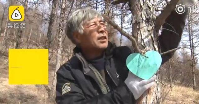 闪回、睡眠障碍,幸存消防员出现急性应激反应【三分钟法治新闻全知道】