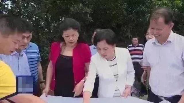 深圳大学或建汕尾校区?最新消息来了!