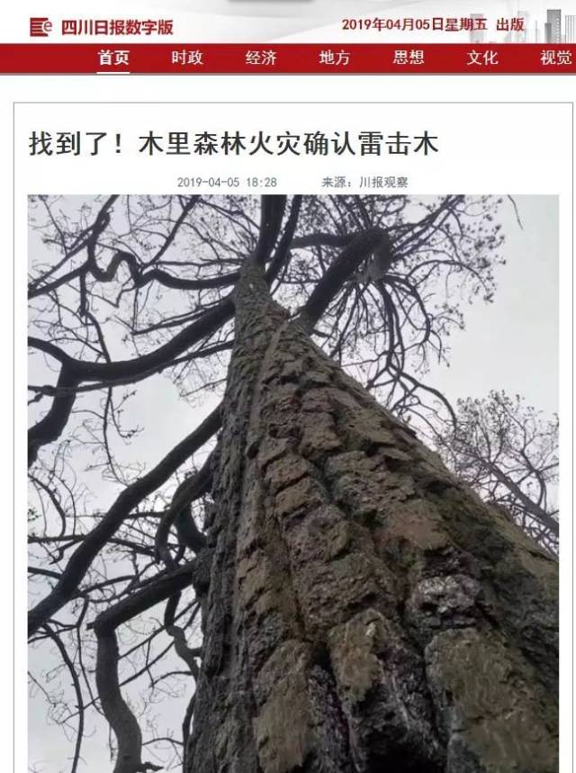 凉山森林火灾起火原因确认!