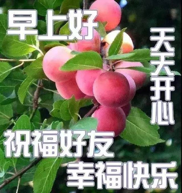 最新早上好问候祝福语短信 最美早安问候表情图片带字