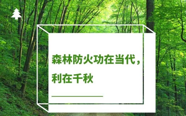 防患于未"燃"!这些森林草原防火知识你必须知道