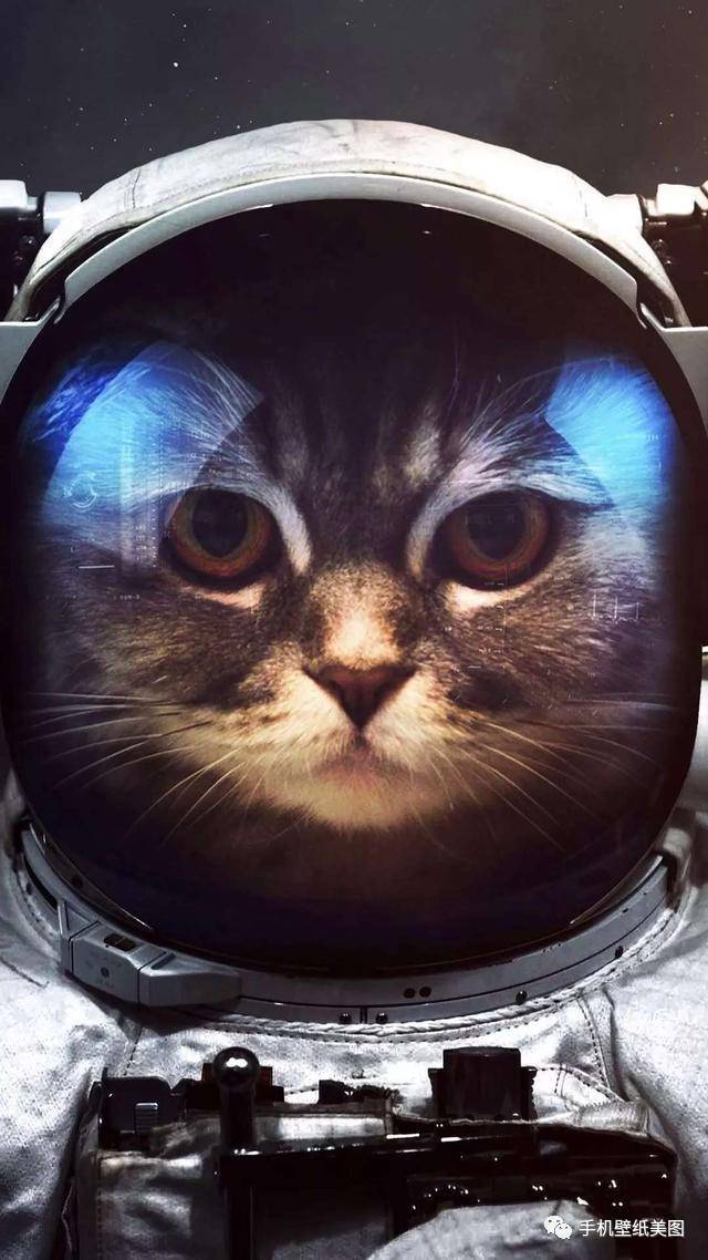 2018抖音最火手机壁纸