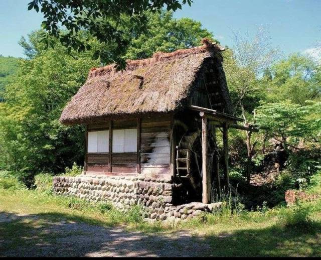 诗歌鉴赏||茅屋