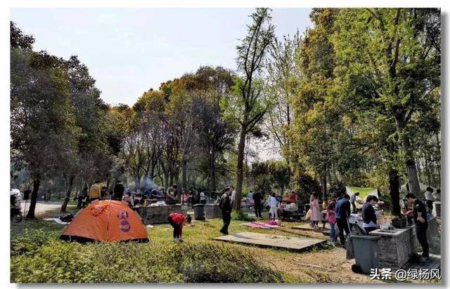 泰州团建公司：凝聚团队力量，激发工作潜力的新方式
