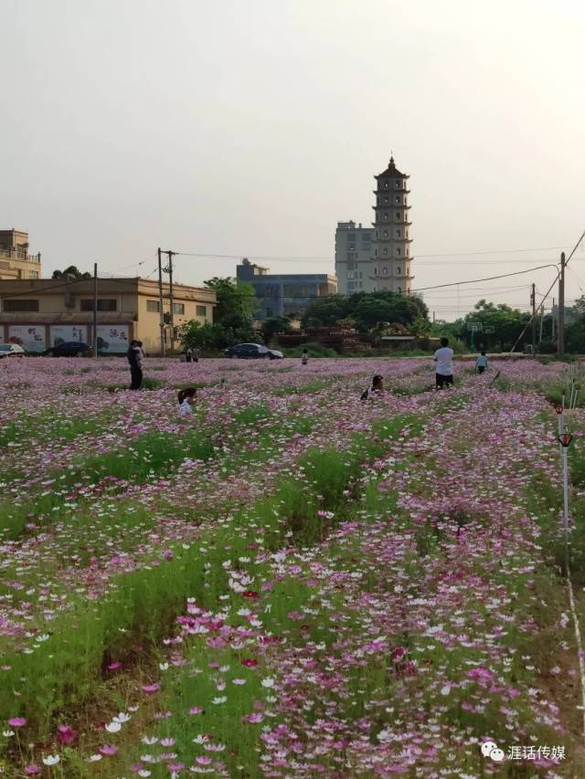 探「三月三」美食节,访沙琅新城公园,赏怡景花海