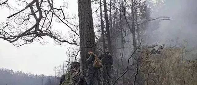 四川凉山火灾着火点找到了!但令人揪心的事,幸