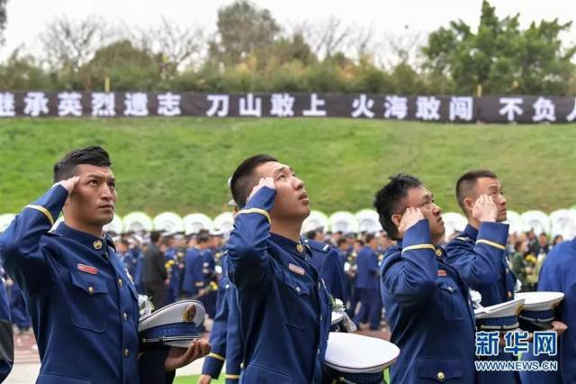 凉山火灾复燃!如何认识森林火灾?省林业局局长发文科普