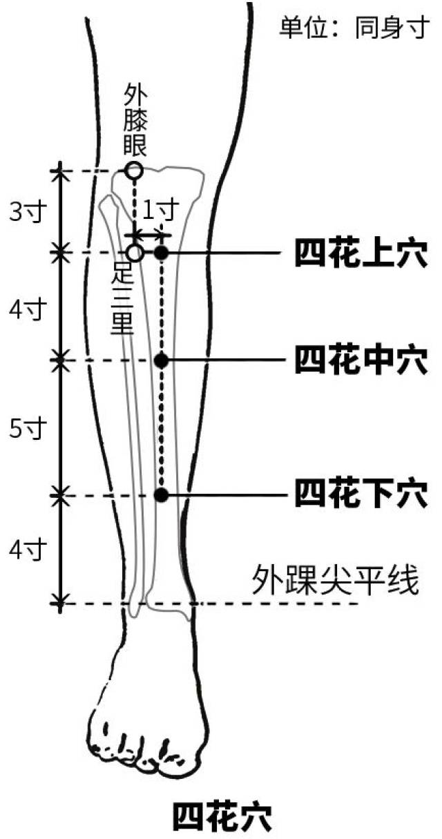 按揉四花穴