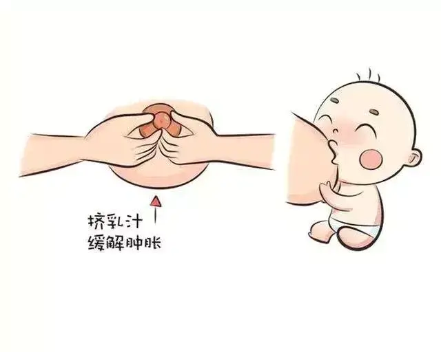 哺乳期"堵奶了"大力揉——越揉越肿!