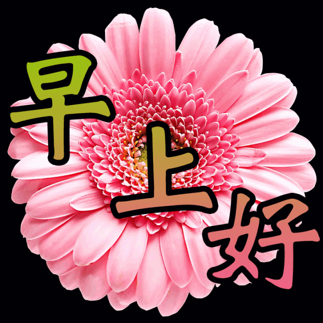 三月初四早晨好祝福语问候语表情 早晨好图片大全