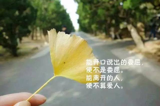 最新人生哲理经典感悟句子朋友圈走心的心情说说语句