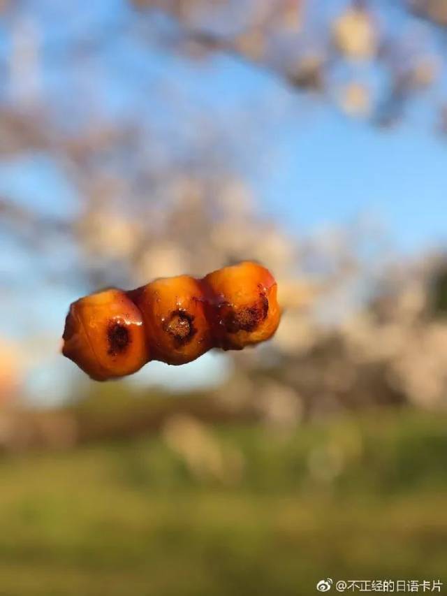 平成30年,37首最经典的日语歌,肯定有一首你听