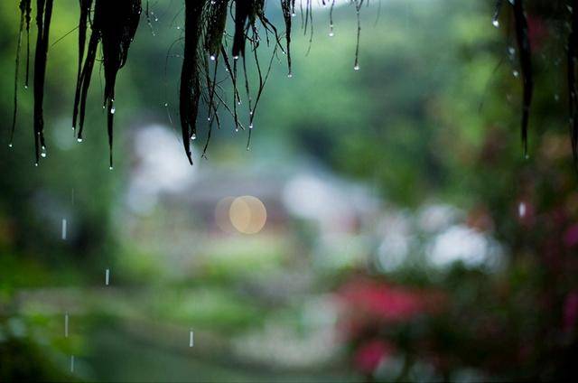 下雨天不想出门的图片