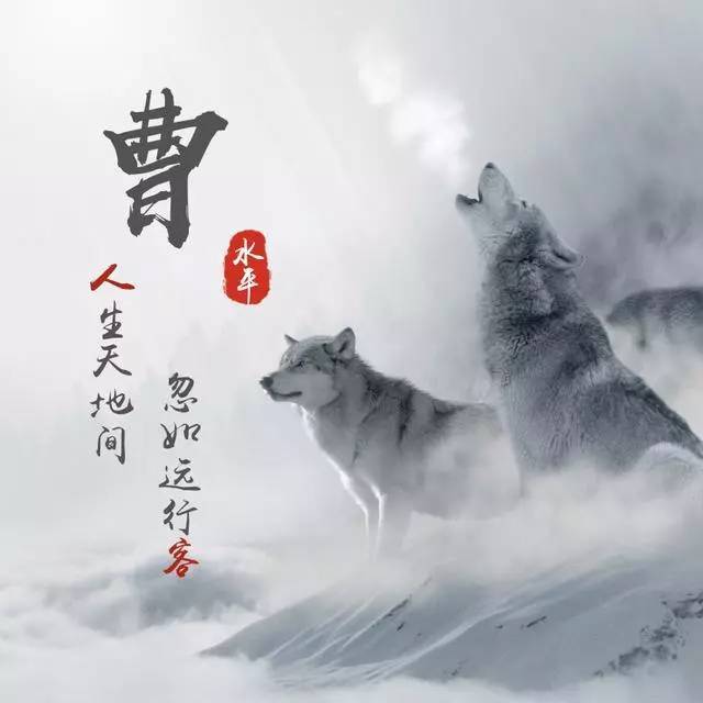 霸气狼虎姓氏微信头像,用来做头像太好看了,赶紧领走