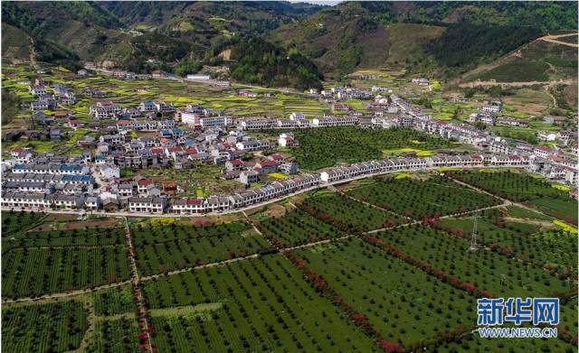 陕西平利县老县镇 平利县社保局地址