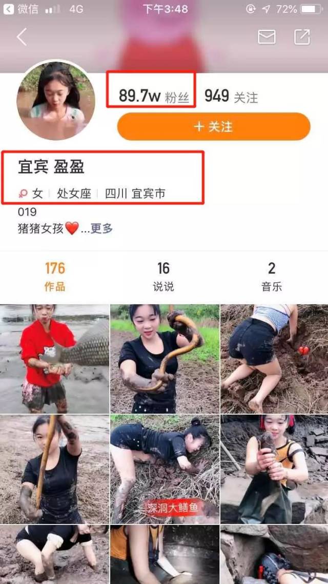 网红女主播利用宜宾来打造自己竟带着红领巾抠黄鳝