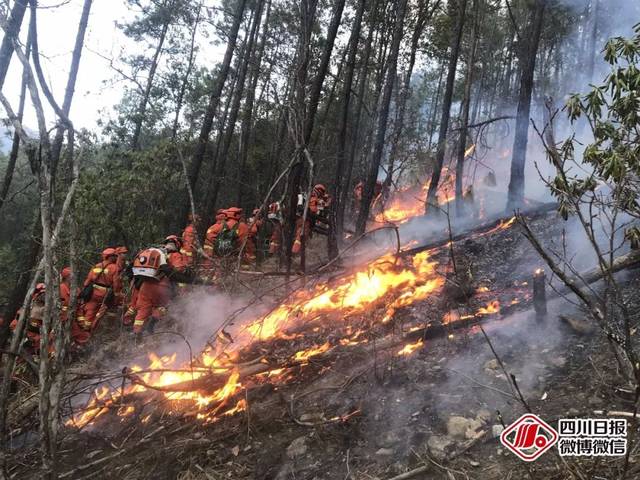 凉山三地连发森林火灾!上千人参与扑救,全网网友盼平安!