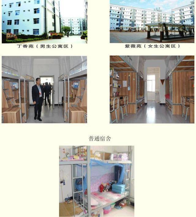 云南科技信息职业学院