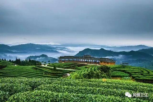 【周末出发】畅游万亩梯田仙境茶园—布央仙人山,走进