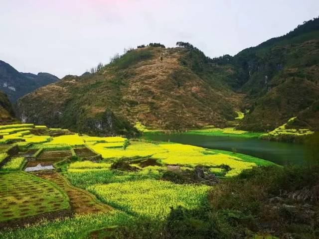 苗族清明节挂清的习俗,有些你闻所未闻