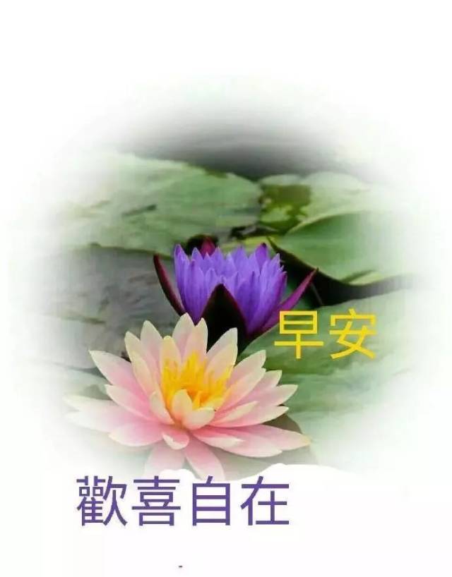 ʺȺϺʺ¼° 2019ƯʺͼƬ
