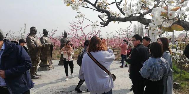 桃花节不仅展示了夏集镇桃红柳绿的自然生态形象,也展现了夏集社会