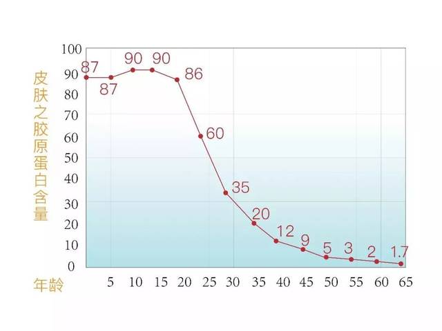 ▼胶原蛋白随年龄流失曲线图