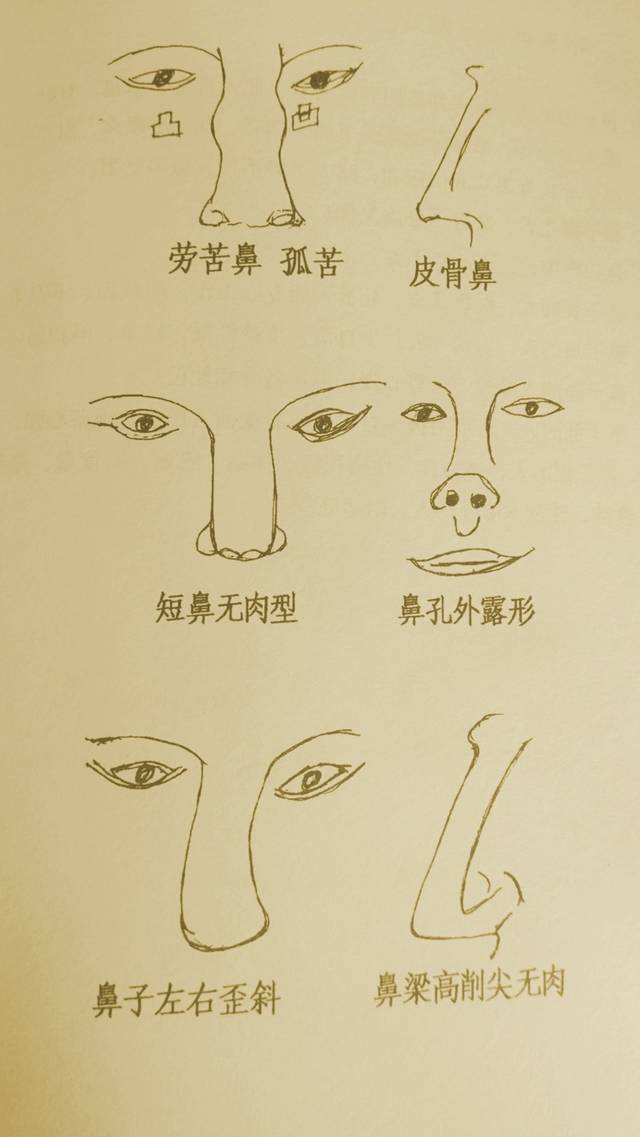 1.鼻子的形状看起来如悬胆和截筒者,此人富贵,幸福,有财. 2.