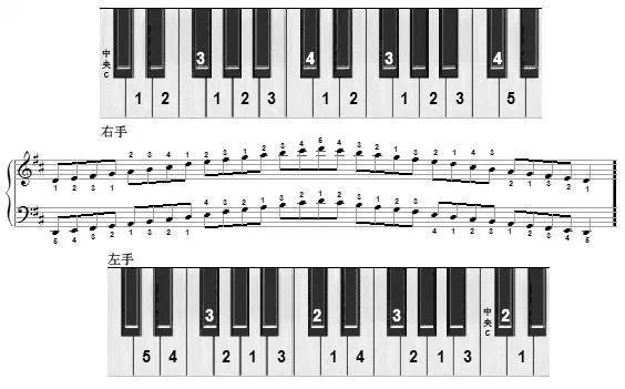 钢琴音阶图 c大调常用音阶图: 常见的和弦进行练习 Ⅰ--Ⅱ--Ⅴ7--Ⅰ