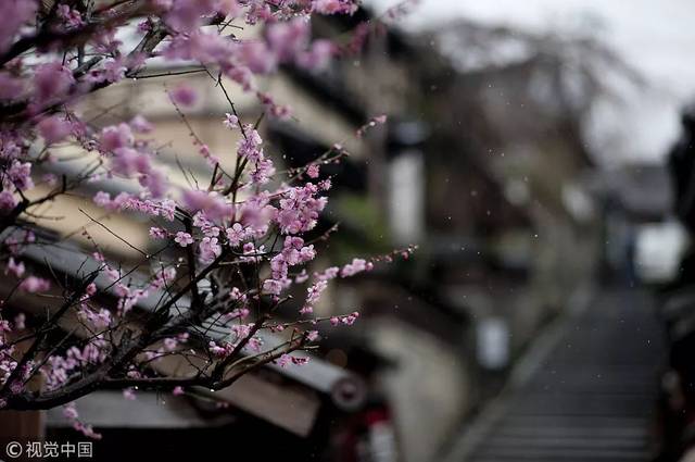 【尘世掠影杯】刘静 | 静听风雨,细读流年 朗读:李晓英