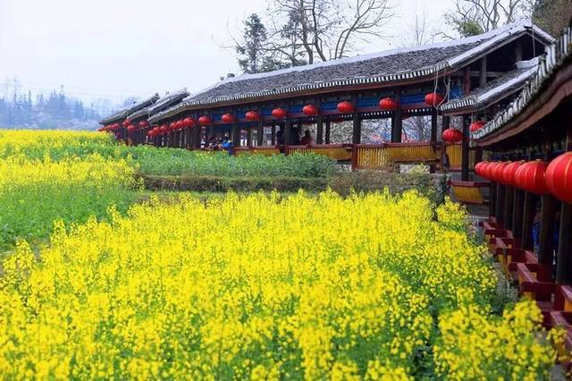 惠水好花红村