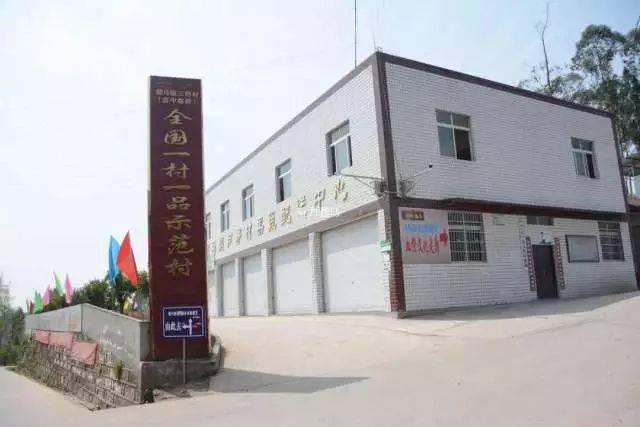 骝马镇三柏村晚熟血橙进入采摘销售旺季