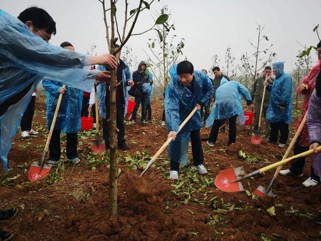 "众人植树树成林" 各地因地制宜开展春季植树