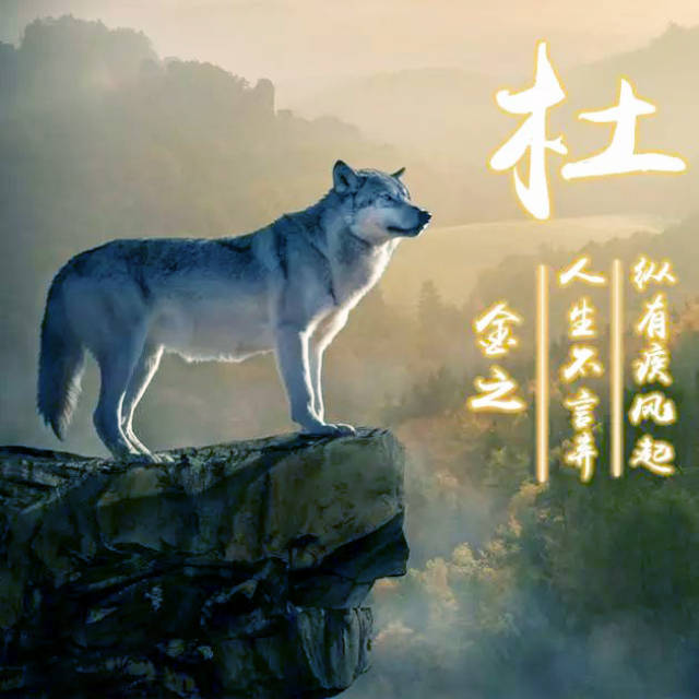 霸气狼图姓氏微信头像,喜欢狼的赶紧带走了