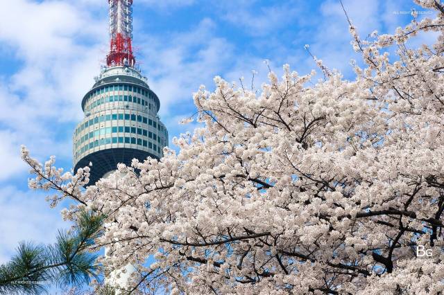 日本韩国旅游必去的几个著名景点|同样的景点不一样的美