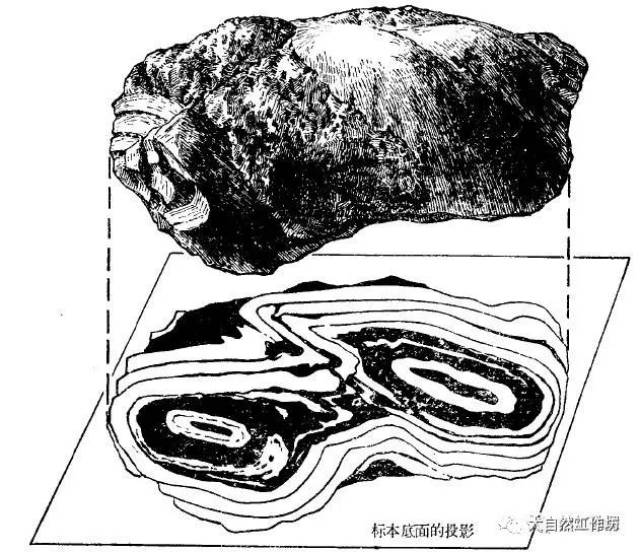 河北迁安磁铁石英岩叠加构造标本 -end- 平台声明