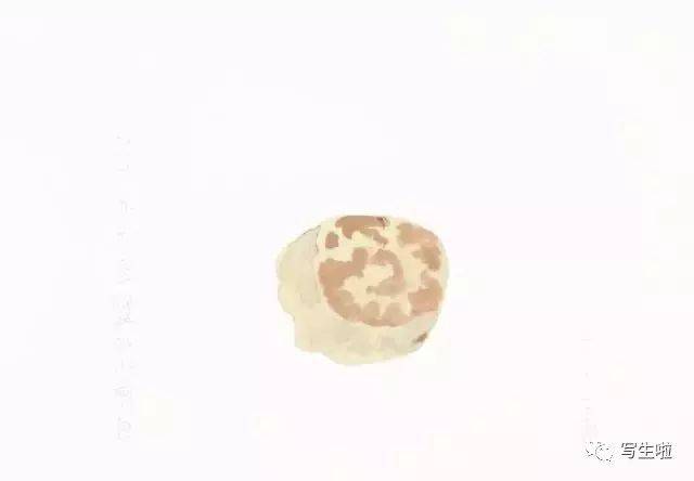 【写生啦】王玉平:我原来很拒绝水彩
