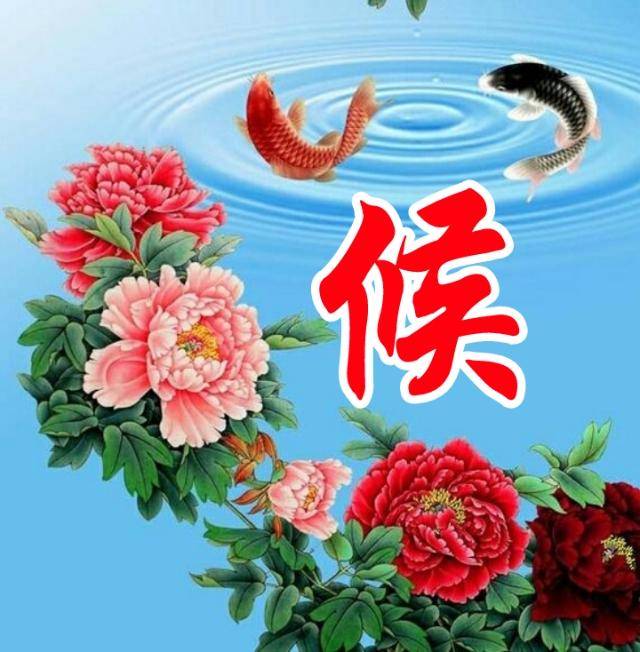 家和富贵,富贵吉祥,姓氏头像