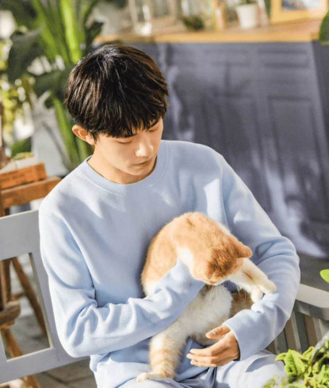 易烊千玺撸猫动作娴熟,胡歌刘亦菲杨幂等人也