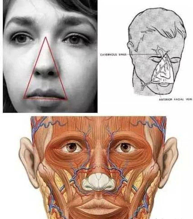 面部"危险三角区"是以人的鼻骨的根部为顶点,两口角的连线为底边的一