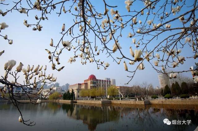 烟台大学又双叒叕要火了!不止有"海景房"宿舍,还有